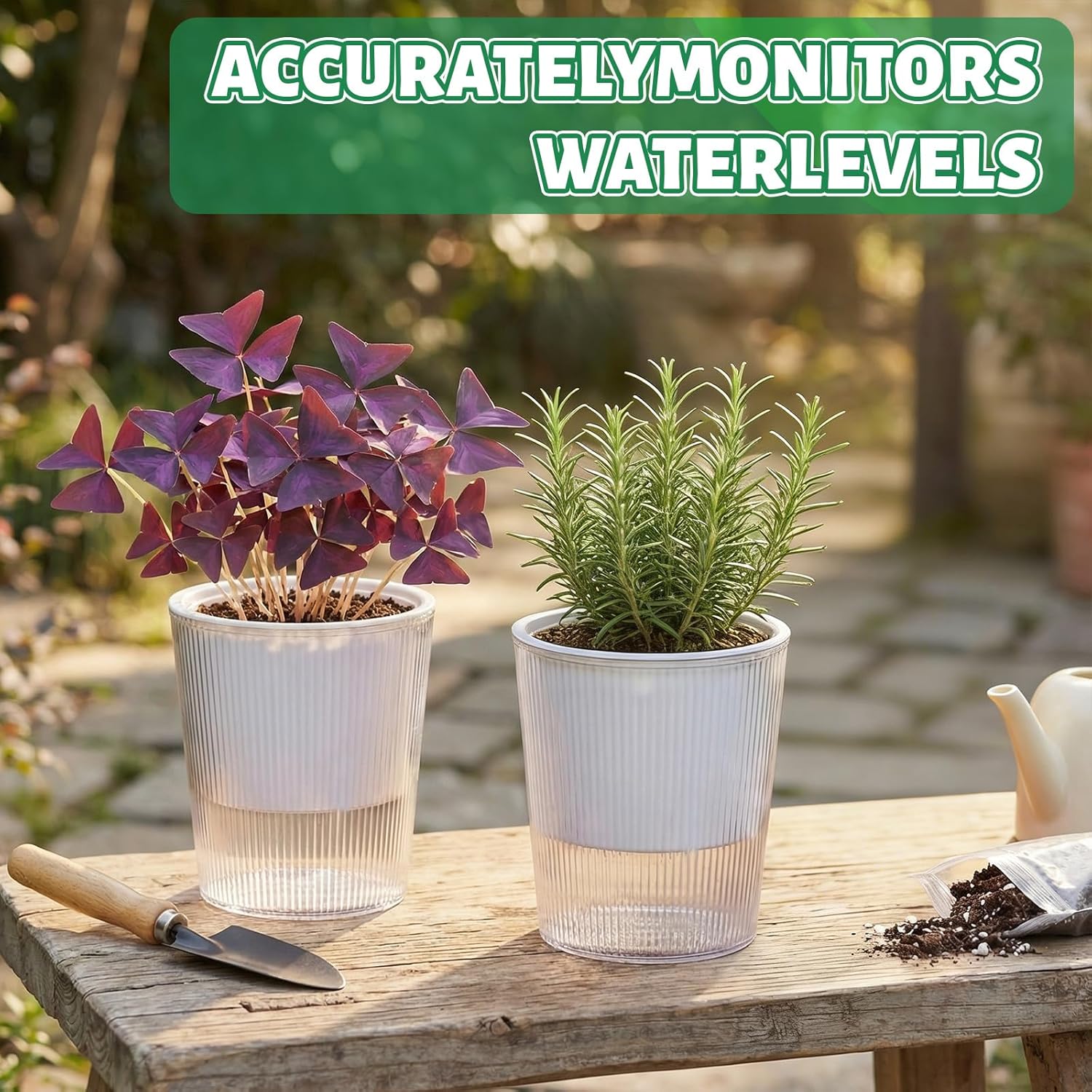Aloe Vera Pot - Clear Self Watering Planters Pots Household