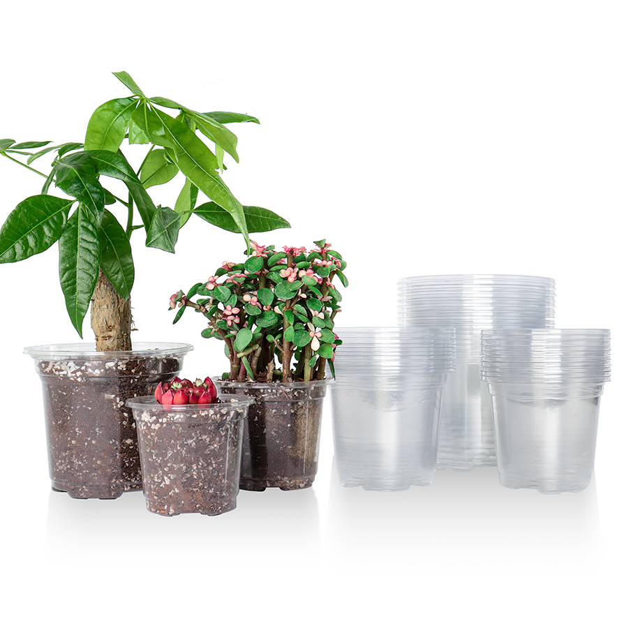Aloe Vera Pot - 30 Packs 3.5/4/5 Inch Clear Nursery