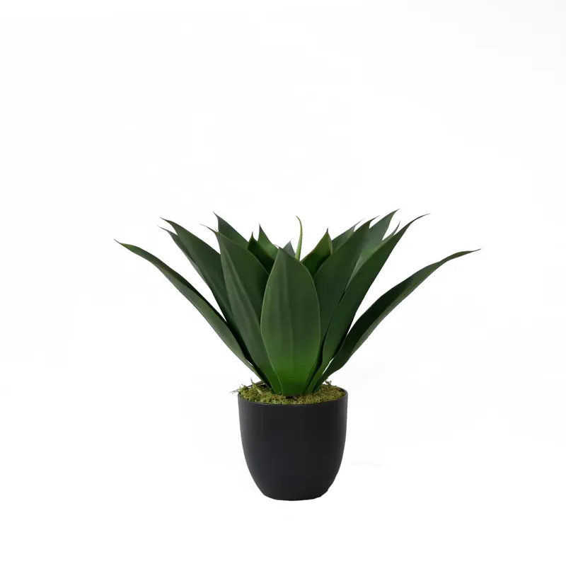Artificial Potted Aloe Vera Pl - Aloe Vera Pot ulasan dan harga