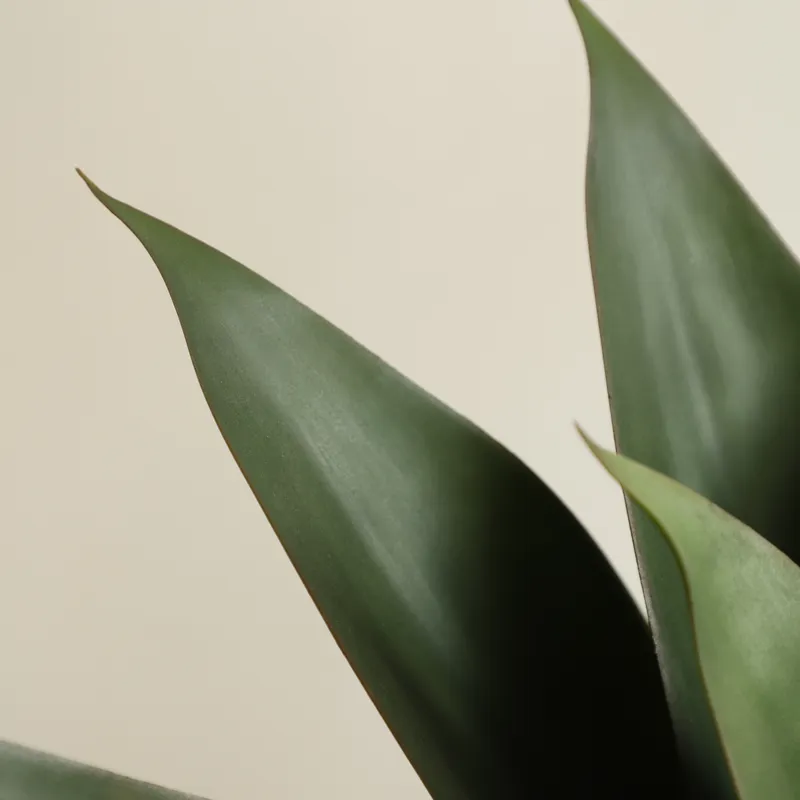 Artificial Potted Aloe Vera Pl - Aloe Vera Pot ulasan dan harga